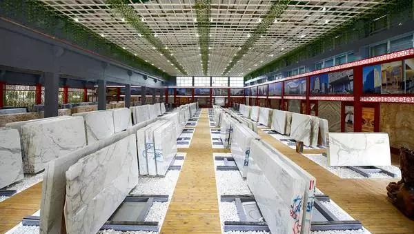 How Did White Stone Breed Become The New Darling Of The Market?
