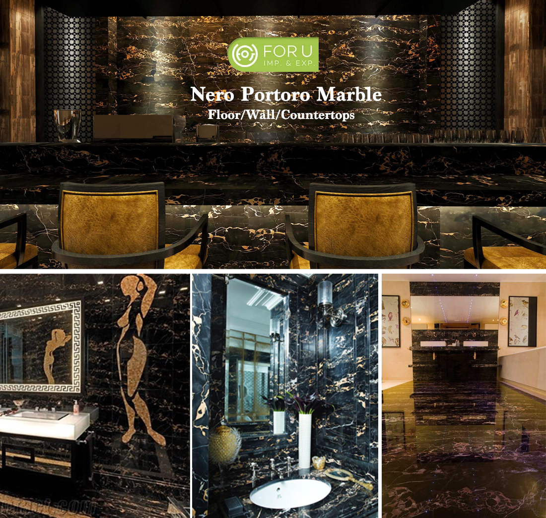 Luxury Mansion with Nero Portoro Marble Luxury Mansion with Nero Portoro Marble