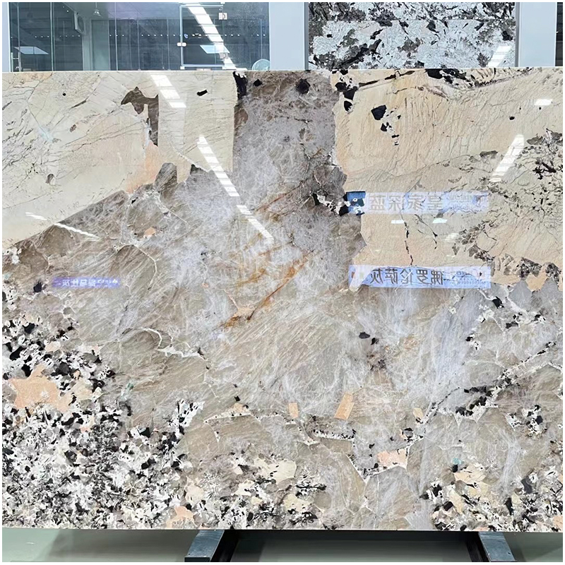Patagonia Exotic Quartzite Slab