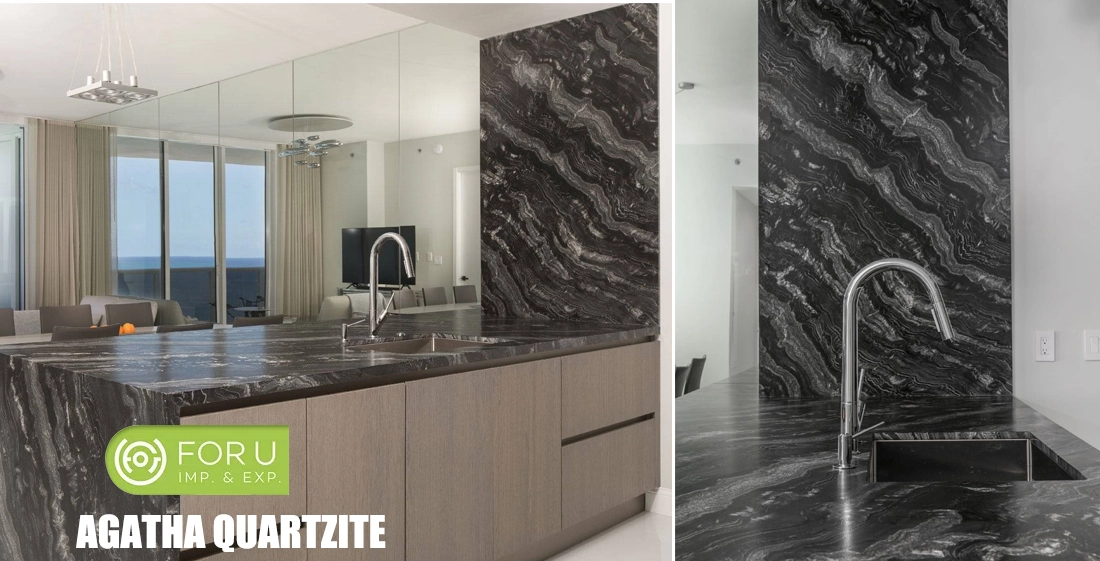 Agatha Black Quartzite Kitchen Projects Agatha Black Quartzite Kitchen Projects