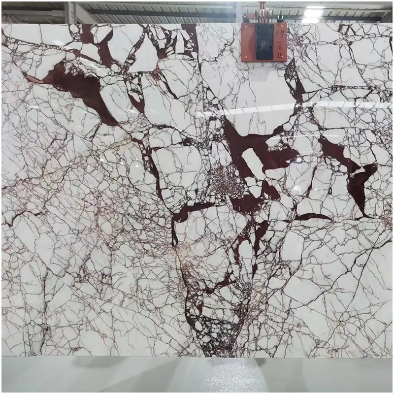 CALACATTA BRECCIA VIOLA Marble CALACATTA BRECCIA VIOLA Marble