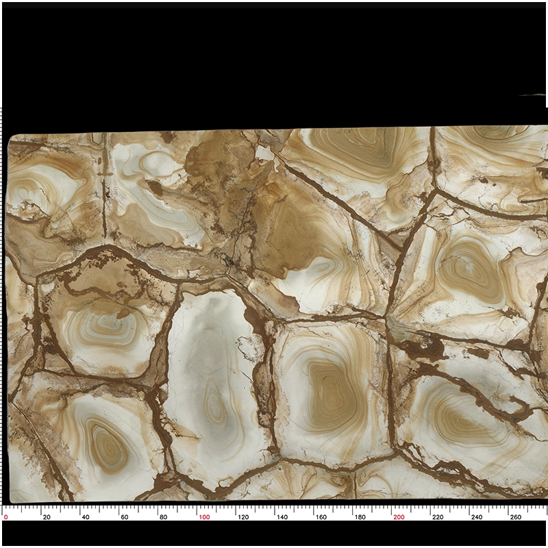 Palomino Quartzite Exotic Slab