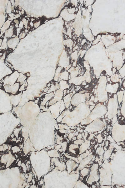 Calacatta Viola Italian Marble